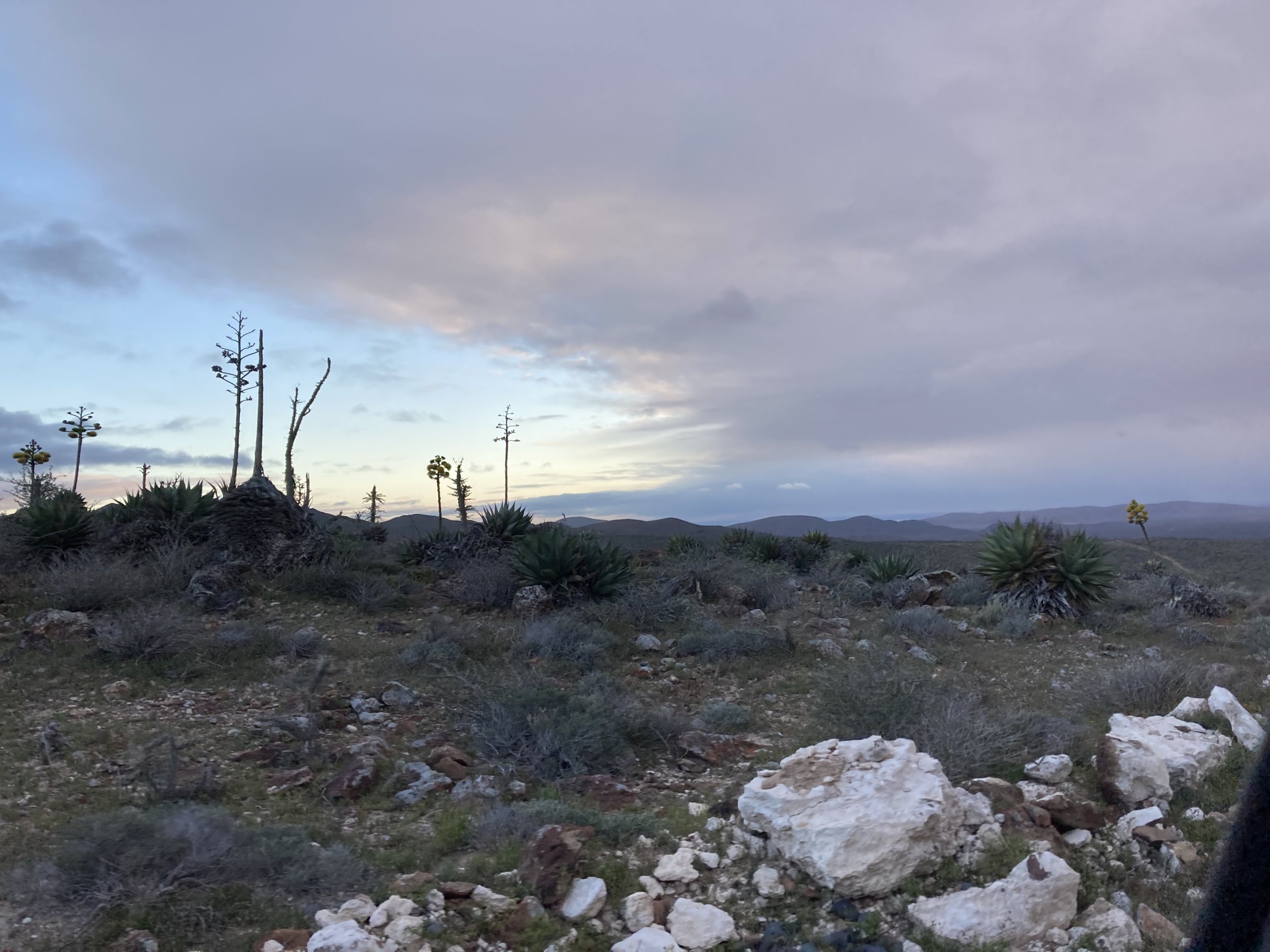 2023 Baja XL write up with lots of pics | Page 2 | Rising Sun 4WD Club ...
