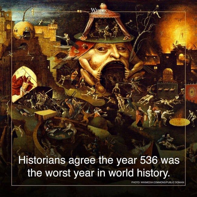 536.jpg