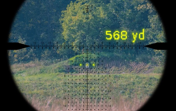 568.jpg
