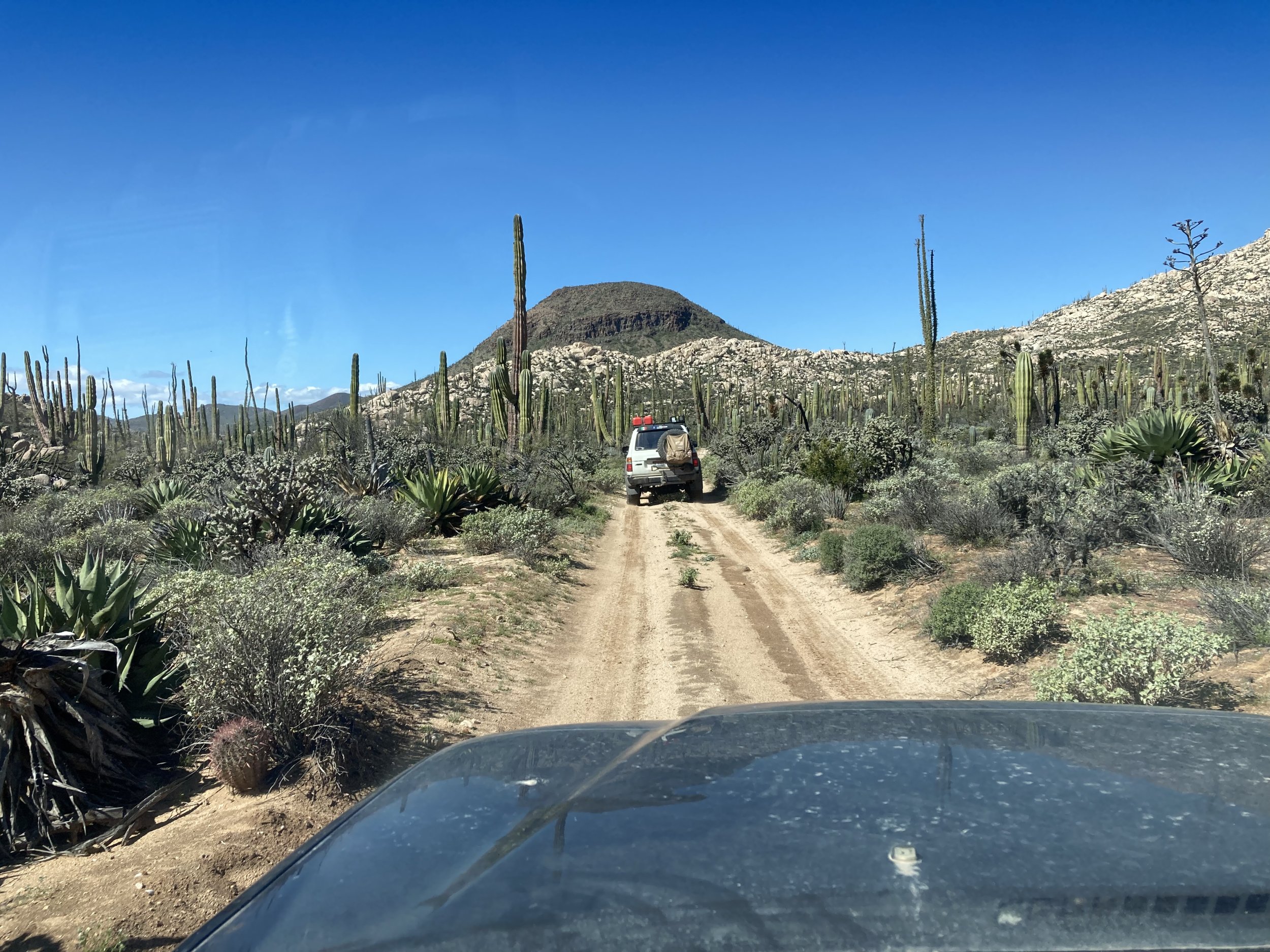 2023 Baja XL write up with lots of pics | Rising Sun 4WD Club Forum