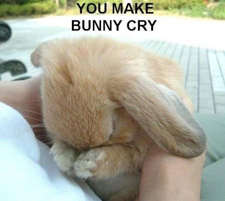 bunny-cry.jpg
