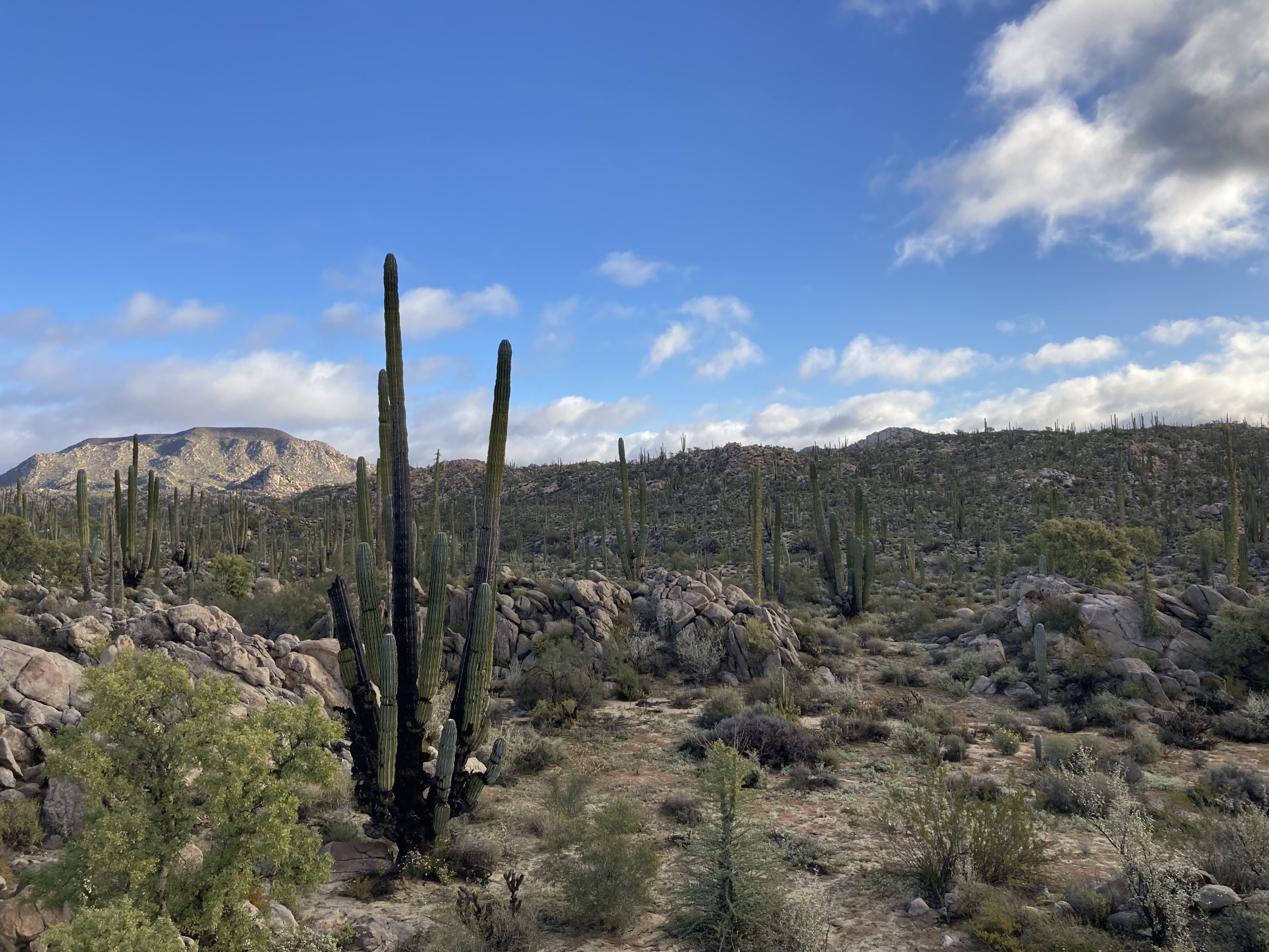 2023 Baja XL write up with lots of pics | Page 2 | Rising Sun 4WD Club ...