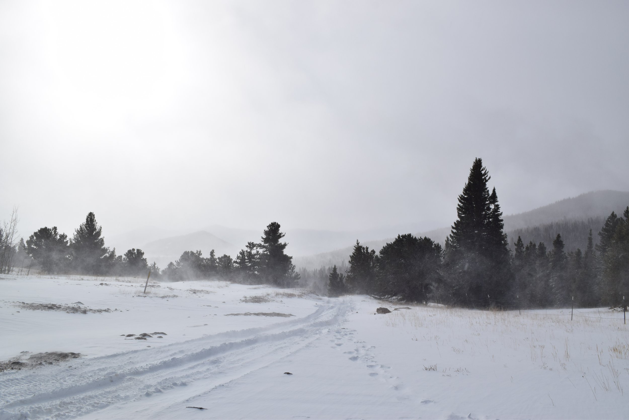 DSC_0196.JPG