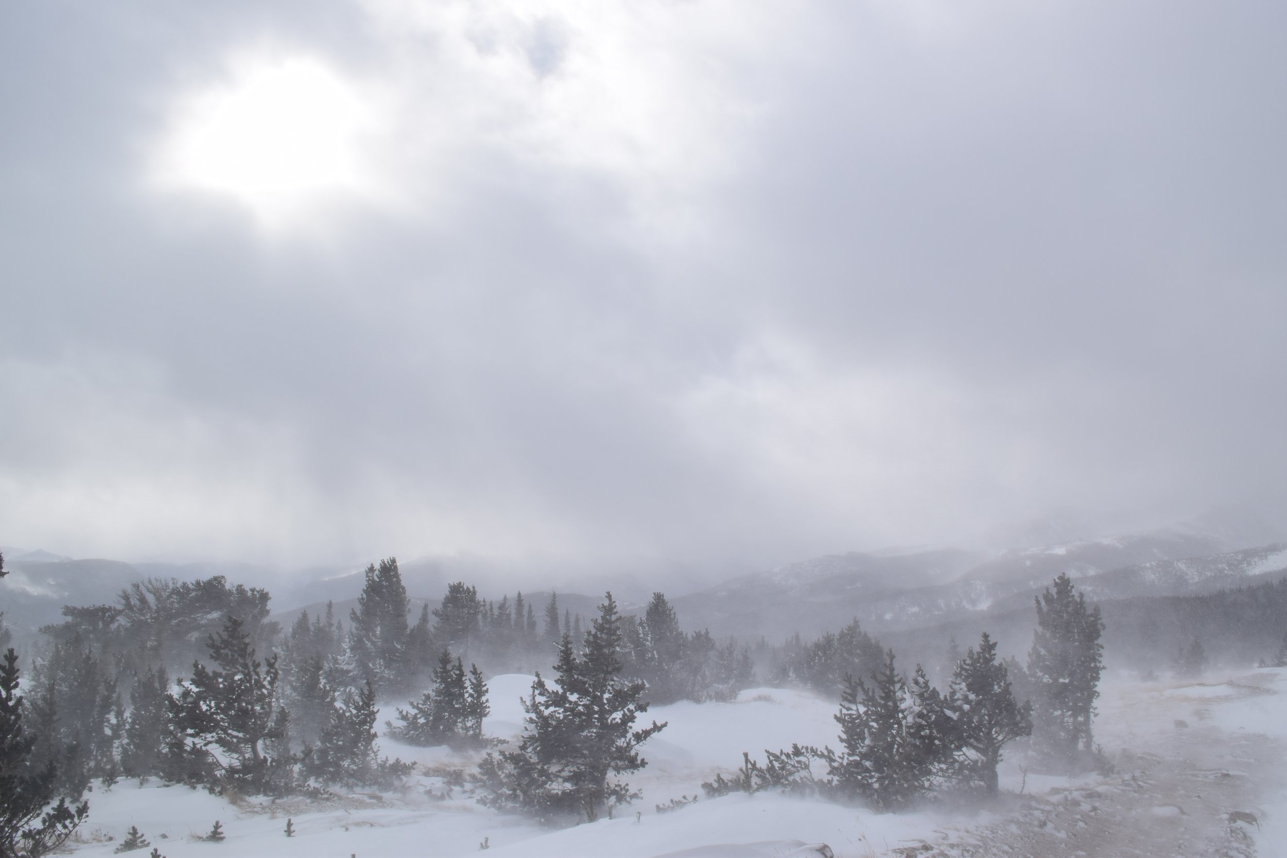DSC_0204.JPG