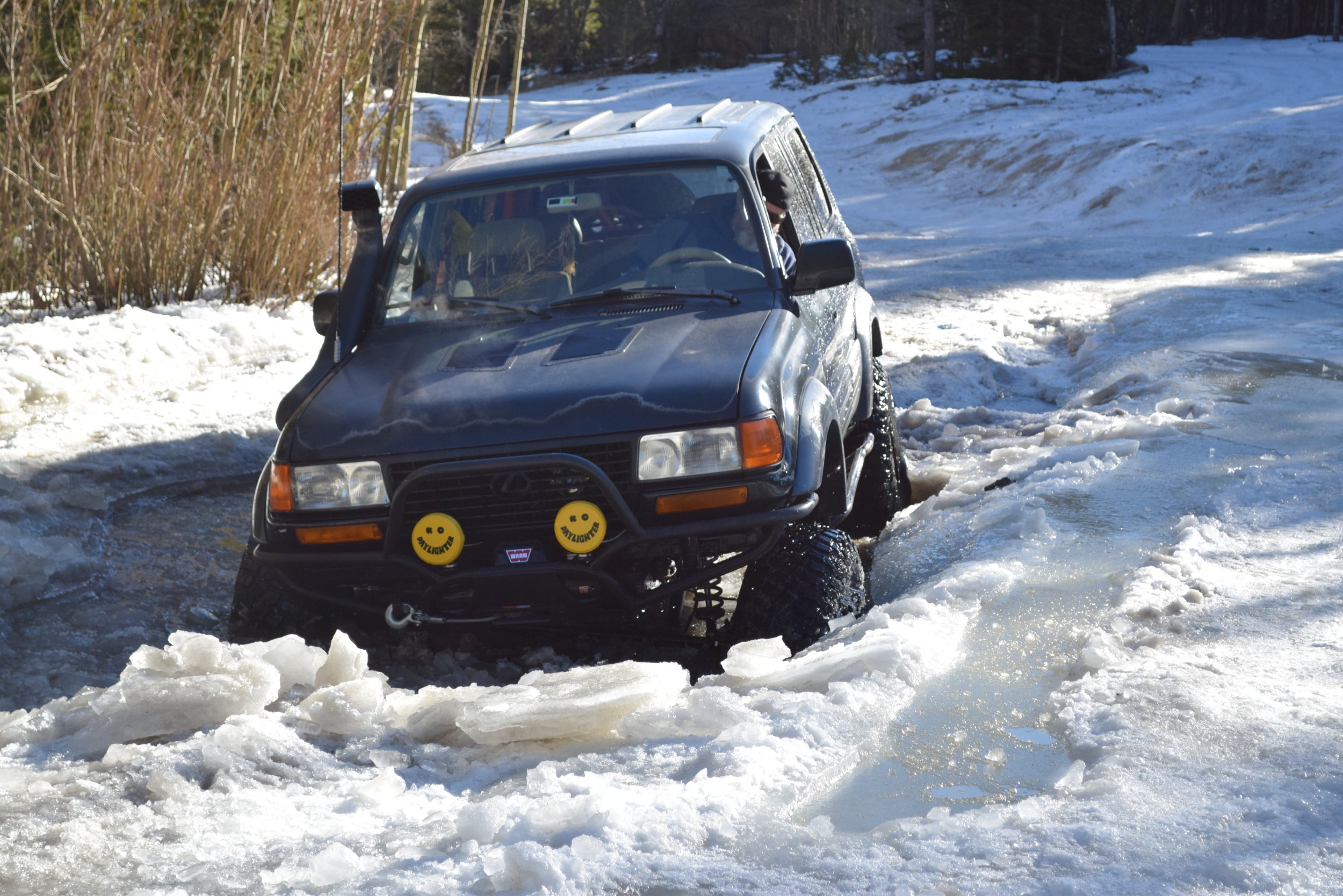 DSC_0316.JPG
