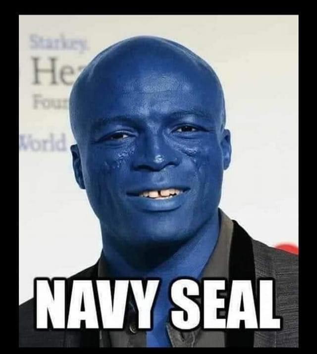 Navy Seal.JPG