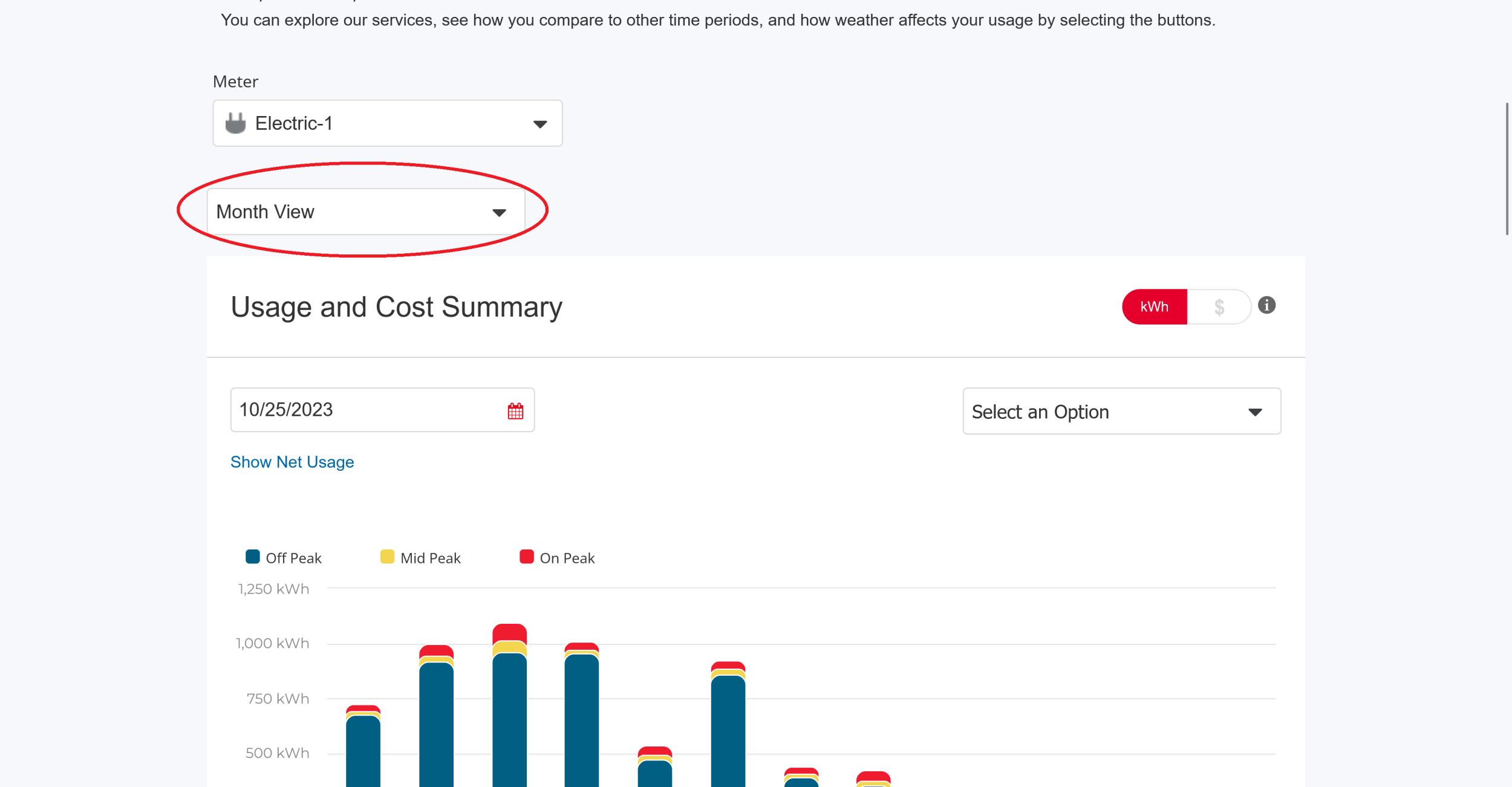 Screenshot 2023-10-25 at 09-44-20 Xcel Energy.png