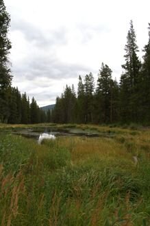 on the way to trailhead.jpg