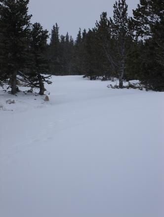 DSC00121.JPG