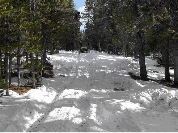 snow deeper further.JPG