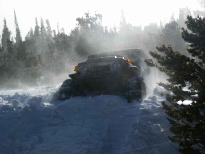 Stumpy-NYD-06.jpg