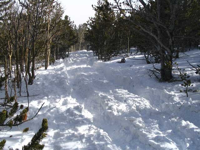 snow10.jpg