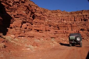 Red Fox nearing Hurrah Pass1.jpgresized.jpg