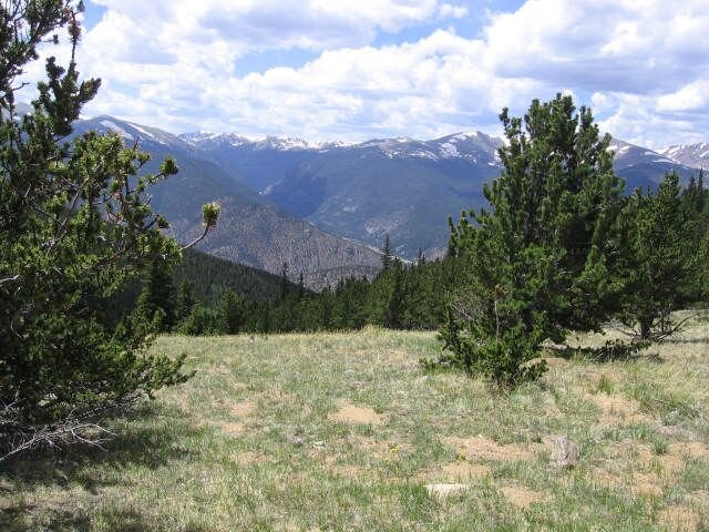Spring Creek 033.jpg