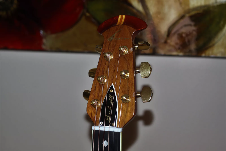 ovation1127_glencampbellmodel2.png