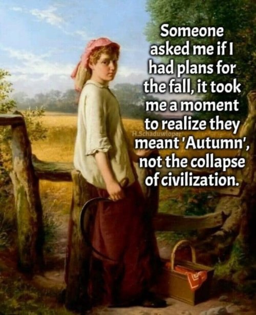 plans-for-the-fall.jpg