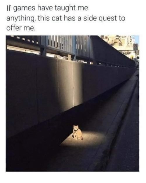 side-quest.jpg