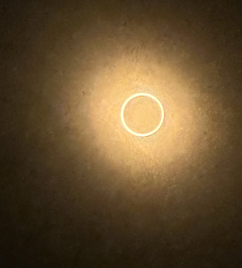 IMG_3077.jpeg