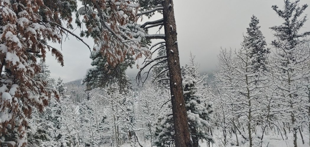 1028231706_HDR.jpg