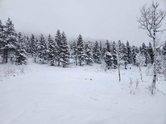 20231028_175614.jpg