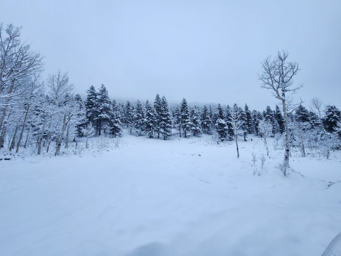 20231028_175618.jpg