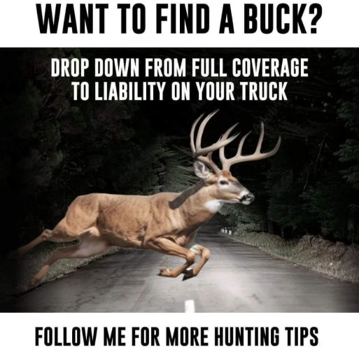 Buck Finder.jpg