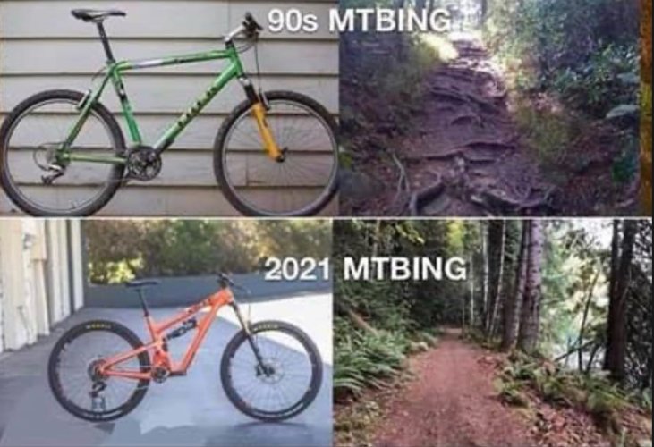 IMG_0545.jpeg