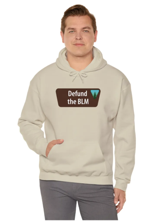 1700145689881.png