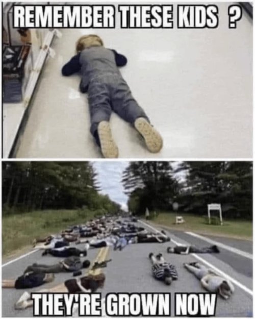 1700151959790.jpeg