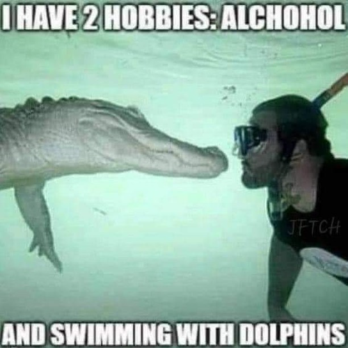 Two Hobbies.png