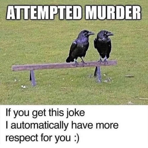 IMG_0743.jpeg