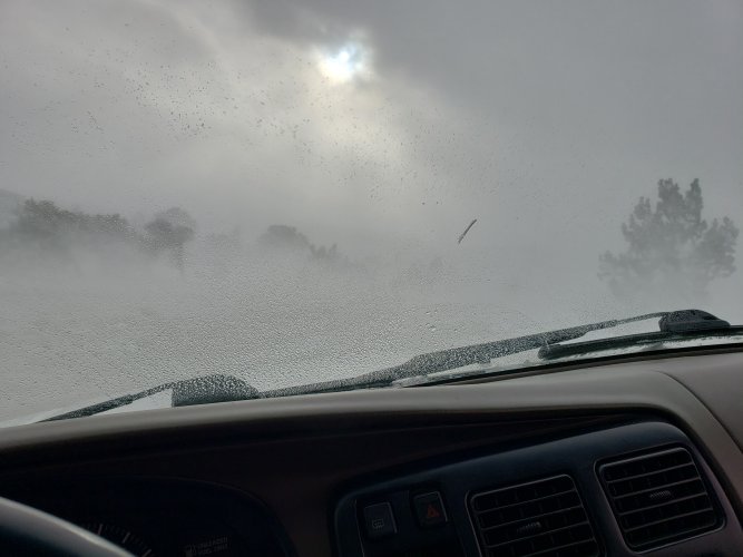20240113_150334.jpg