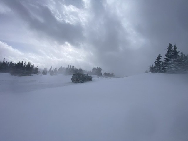 IMG_7895.jpeg