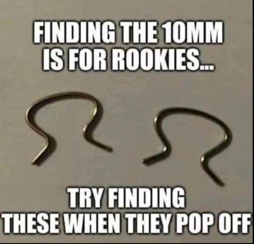 IMG_0654.jpeg