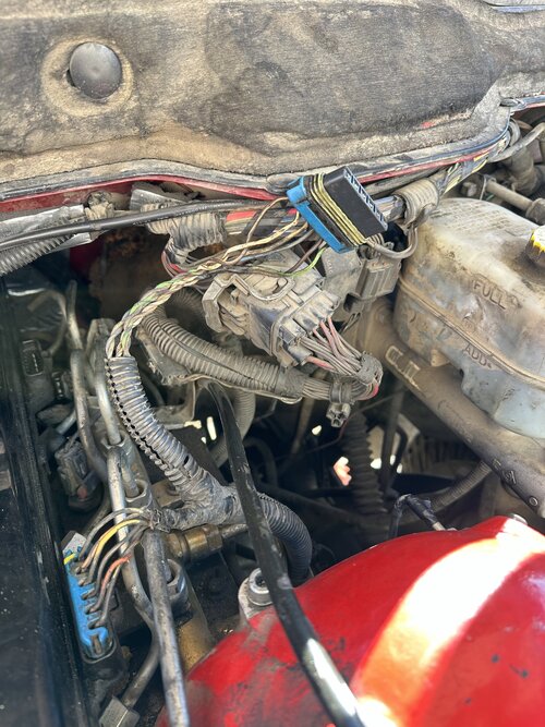 IMG_6527.jpeg IMG_6527.jpeg