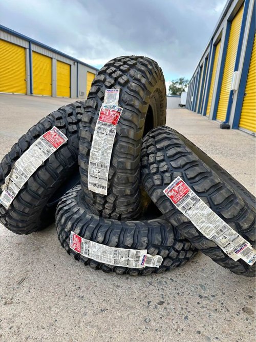 BFGs-2024.jpg