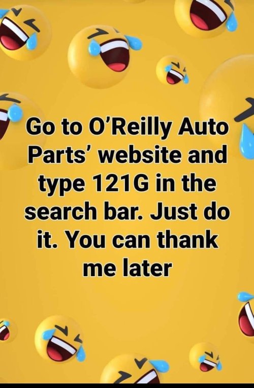 1000020463.jpg