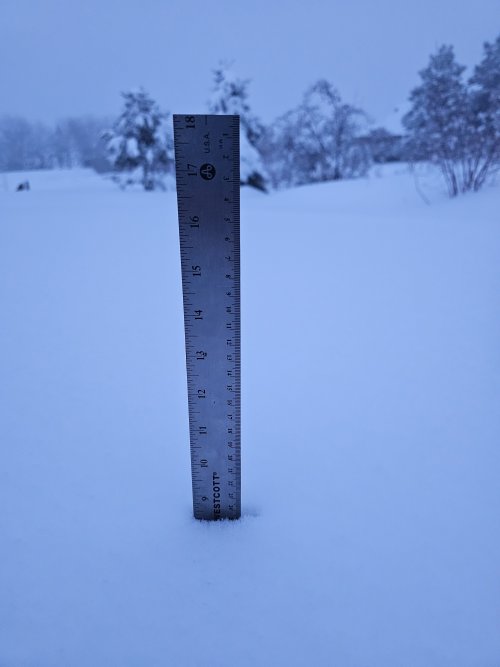 Snowfall 3-14.jpg