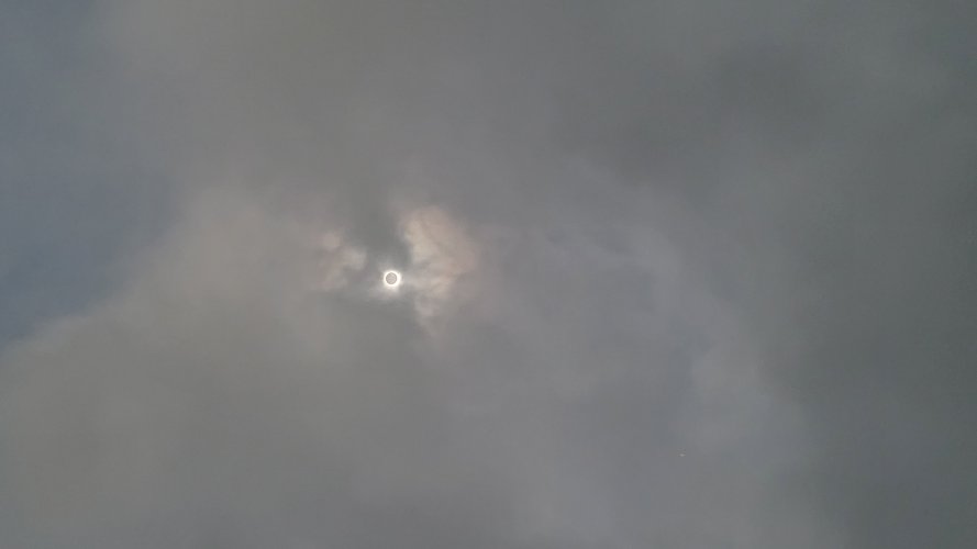 20240408_133543.jpg
