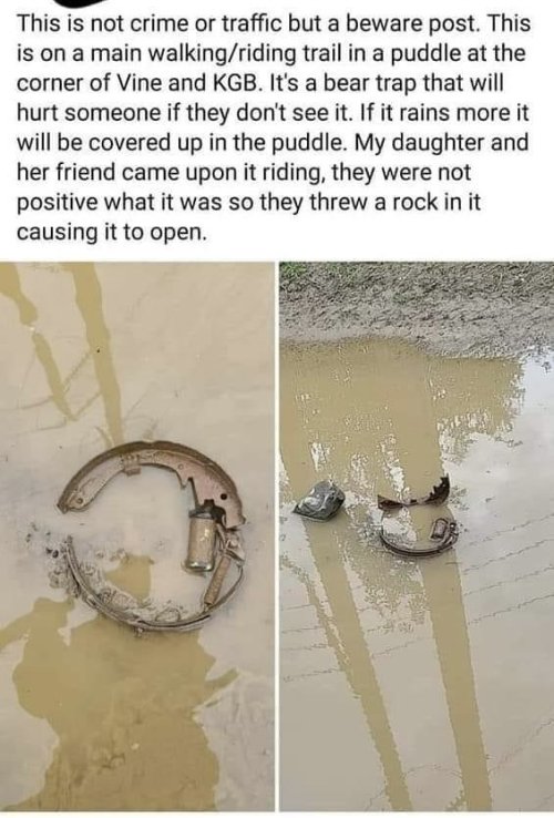 Bear Trap.JPG
