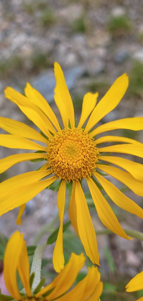 0622241640g_HDR.jpg