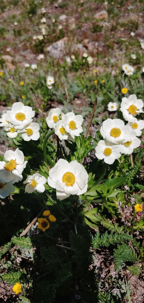 0704241239a_HDR.jpg