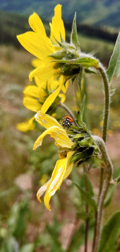 0726241218j_HDR~2.jpg
