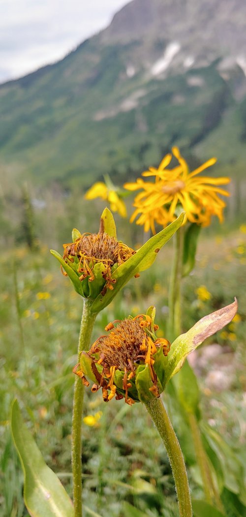 0726241221d_HDR~2.jpg