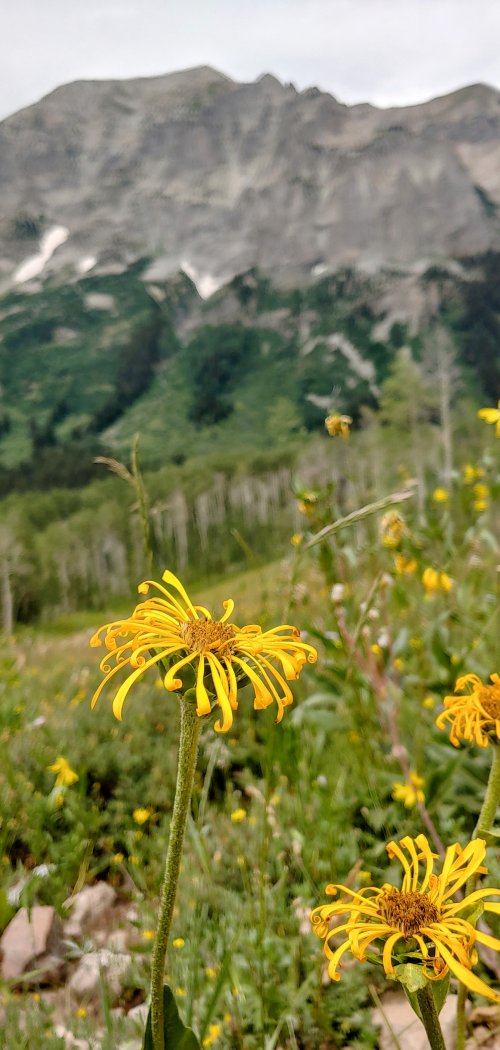 0726241221a_HDR~2.jpg