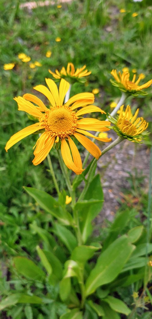 0726241408i_HDR~2.jpg