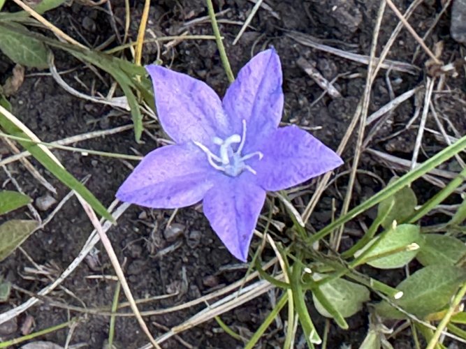 IMG_0021.jpeg