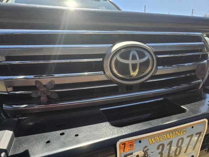 Grill Ornament.jpg