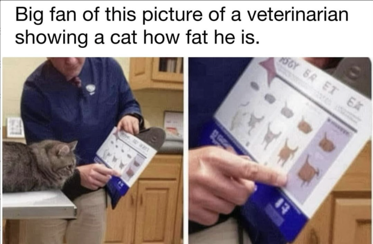 Fat Cat Chart.png