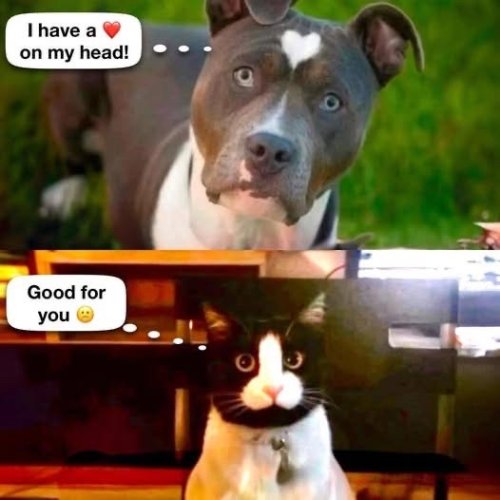 IMG_0035.jpeg